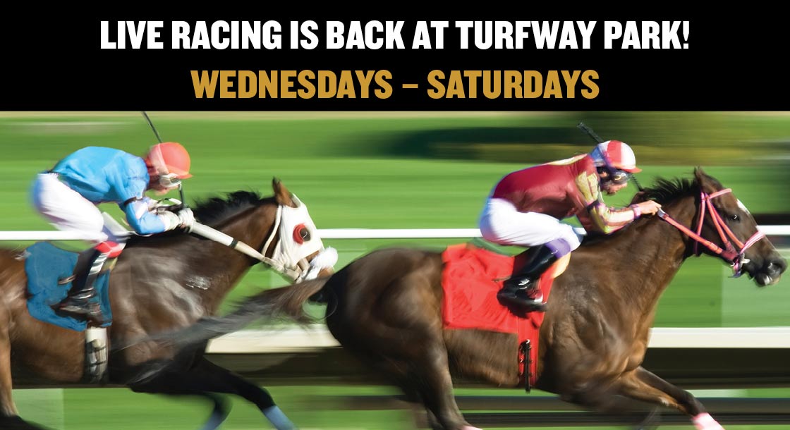 Live Horse Racing at Turfway Park in Florence, KY