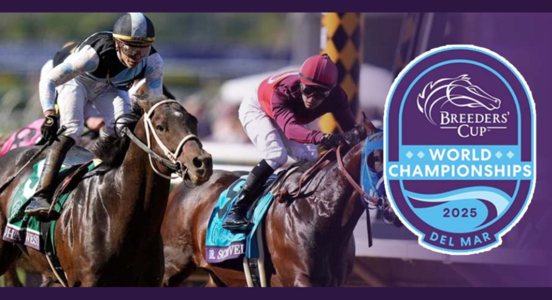 breeeders cup webslider
