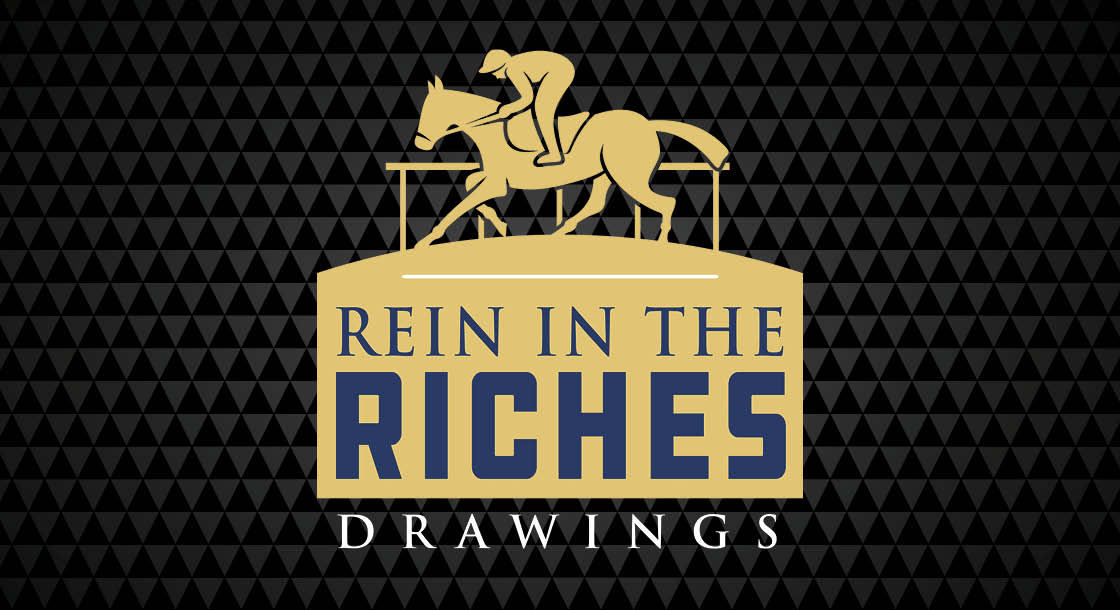 TP-64271_Rein_In_The_Riches_Drawings_Graphics_Web_Logo_1120 x 610 (1)