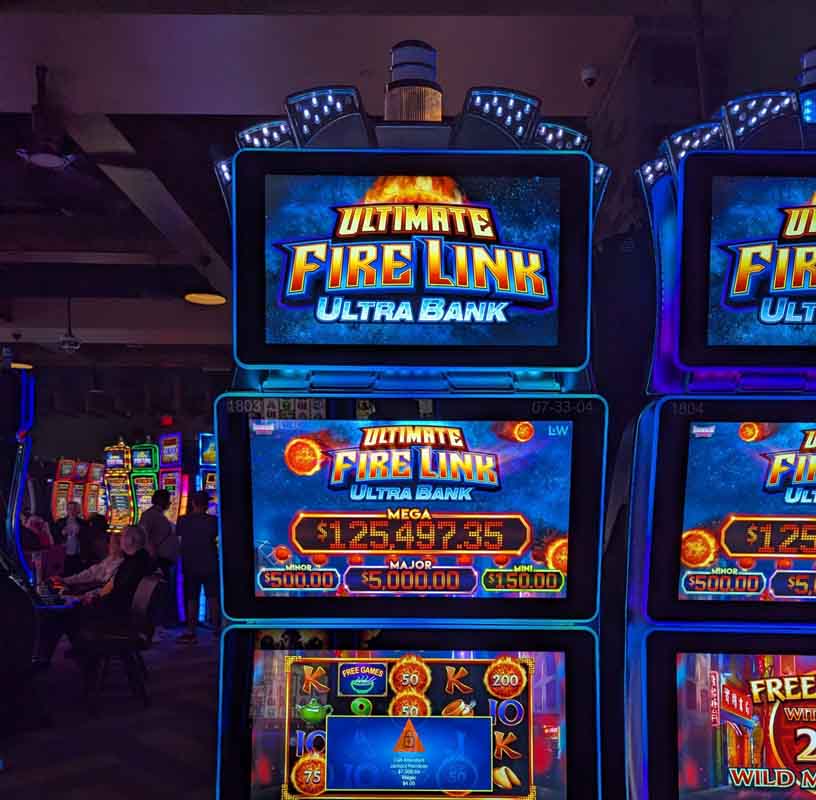 PXL_20260307_021450798.MP